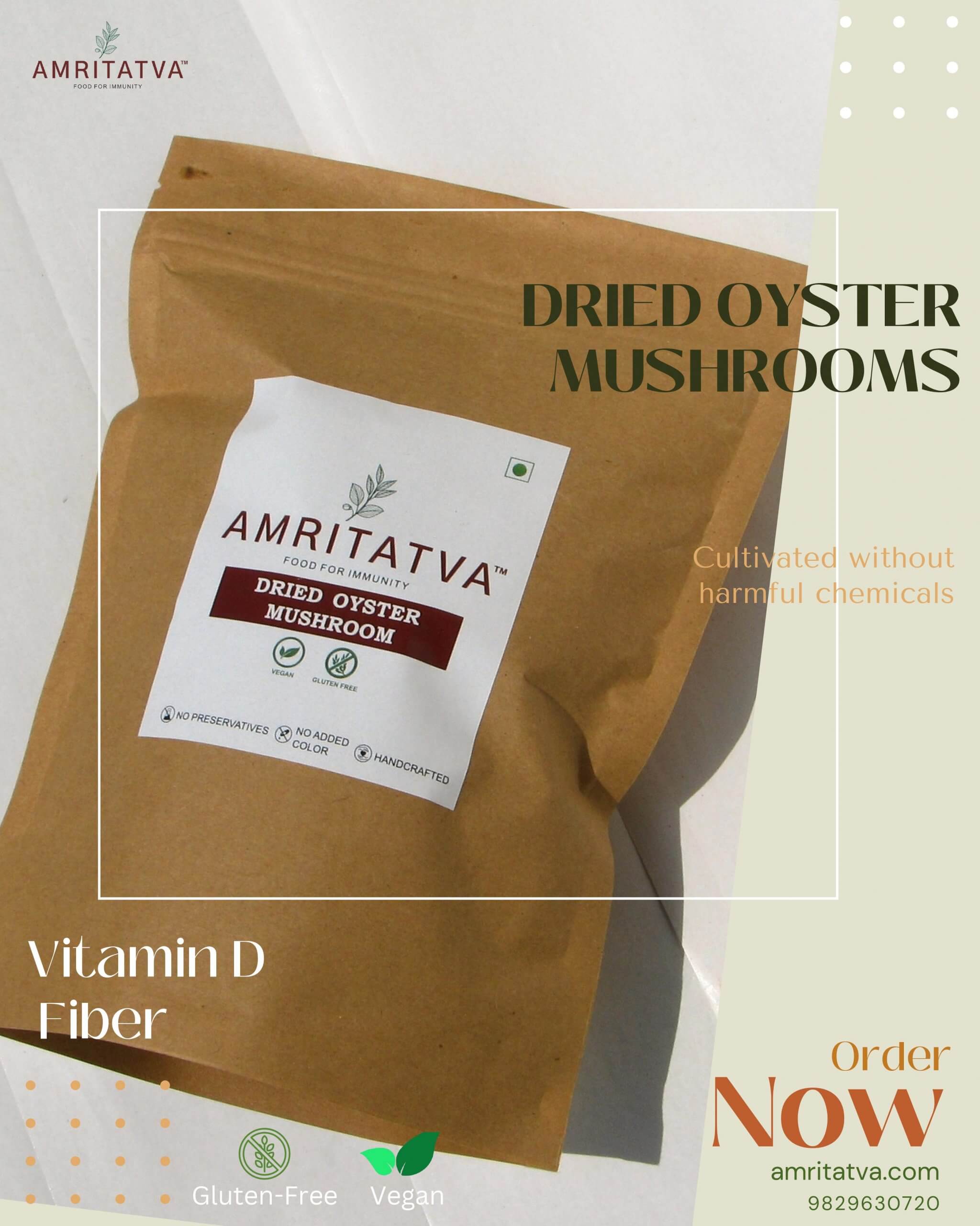 Amritatva Dried Oyster Mushroom 100g Amritatva