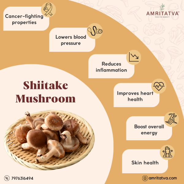 shiitake mushroom benefits infographic